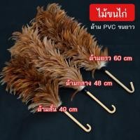 ราคา ไม้ขนไก่ ไม้ปัดขนไก่ ไม้ขนไก่ขนธรรมชาติ ไม้ขนไก่ปัดฝุ่น สินค้าพร้อมส่ง โรงงานมาเอง รหัส P018 (21580715677)