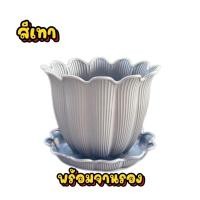 ราคา กระถางพลาสติก ทรงดอกไม้ พร้อมจานรอง มีให้เลือกหลายสี พร้อมส่ง (22546775403)