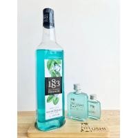 ราคา แบ่งขาย ไซรัปกลุ่มมิ้นต์ Mint แบรนด์ 1883 Syrups made in France (22008637842)