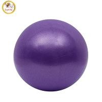 ราคา 25cm Pilates Yoga Ball Explosion proof Indoor Balance Exercise Gym Ball Fitness Equipment For Yoga Pilates Ballet (20697226265)