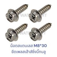 ราคา น็อต เกลียวปล่อย สแตนเลส สำหรับกระบอกกรองแบบบิ๊กบลู Big blue Housing อ้วน 8 มม เกลียวยาว 30 มม น๊อต 4 ตัว (22100873703)