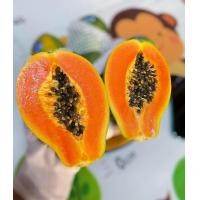 ราคา ซื่อ 3 แถม1 เมล็ดพันธุ์มะละกอฮาวาย จำนวน 60 เม็ด ซอง ผลดก นิยมทานสุก เนื้อหวาน หอม อร่อย (22698060163)