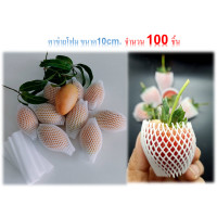 ราคา โฟมตาข่ายห่อผลไม้ ตาข่ายโฟมเส้นเล็ก ห่อสตรอว์เบอร์รี่ มะยงชิด ขนาด10cm จำนวน 100 ชิ้น (12902805840)