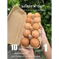 ราคา ไข่ไก่พร้อมส่ง เบอร์1 สดใหม่ไข่แดงดี 10ฟอง (22651787961)