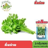 ราคา แพ็ค 5 ซอง เจียไต๋ เมล็ดพันธุ์ คึ่นฉ่าย ขนาดซองละ3กรัม ประมาณ7500เมล็ด ซอง Celery ขึ้นฉ่าย คึ่นช่าย ขึ้นช่าย คื่นฉ่าย คื่นช่าย เมล็ดพันธุ์พืช เมล็ดผัก ปลูกผักสวนครัว (22306630585)