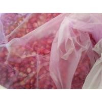 ราคา เมล็ดพันธุ์ข้าวโพดเลี้ยงสัตว์แบบแบ่งขายก กละ70บาท (22772478074)