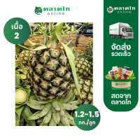 ราคา สับปะรด ศรีราชา เนื้อ 2 เหลือง เนื้อแปะแข็ง 1 2 1 5 กก ลูก สั่งเลยที่ตลาดไทออนไลน์ (22312697436)