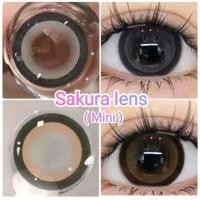 ราคา คอนแทคเลนส์ Mini Sakura Little Sakura สีดำ ตาล Black Brown มีค่าสายตาปกติ 0 00 เปลี่ยนแทนทุกเดือน (21529594985)