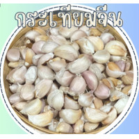ราคา ส่งฟรี 1กิโล กระเทียมจีนกลีบใหญ๋ คัดเกรด A มีคุณภาพ เม็ดสวย (22708453470)