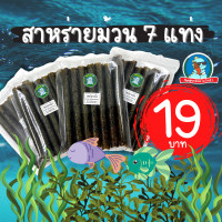 ราคา ส่งไว ไม่เหม็นหืน สาหร่ายม้วน สาหร่ายอบกรอบ สาหร่ายทะเล ของแท้ 1ห่อมี 7 แท่ง กรอบ อร่อย ไม่เหม็นหืน (22178120252)