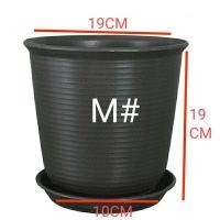 ราคา กระถางต้นไม้สไตล์โมเดิร์น ผลิตจากพลาสติกอย่างดี พร้อมถาดรอง TC (17425525870)