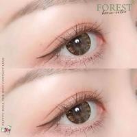 ราคา คอนแทคเลนส์ รุ่น Forest ยี่ห้อ Pretty doll ตาโต มีสี เทา ตาล มีค่าสายตา (18462112226)
