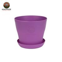 ราคา กระถางต้นไม้ ขนาด 8นิ้ว พร้อมจานรอง กระถางพลาสติก สีสันสดใส กระถางแคตตัส กระถาง กระถางกลม กระถางปลูกต้นไม้ (19982213492)