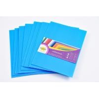 ราคา ฟิวเจอร์บอร์ด ขนาด A4 หนา3 มิล สีฟ้า (3681170674)