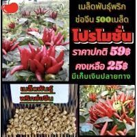 ราคา เมล็ดพันธุ์พริกช่อจีน 500 เมล็ด (22680535994)