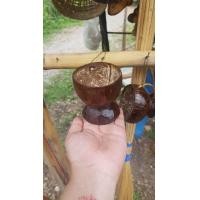 ราคา แก้วน้ำกะลามะพร้าว (19515038751)