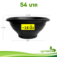 ราคา กระถาง อ่างบัว อ่างชวนชม 18 นิ้ว สีดำ (22699138379)