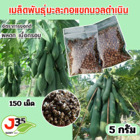ราคา เมล็ดมะละกอตำส้มตำแขกนวลดำเนิน เมล็ดพันธุ์มะละกอ คัดพิเศษ 5 กรัม 120 150 เมล็ด (20899155783)