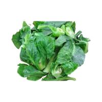 ราคา แขนงคะน้า สด สะอาด รับประกันคุณภาพ (14978669196)