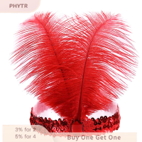 ราคา PHYTR HOT ที่คาดผมประดับเลื่อมคริสตัลขนนกอินเดียเครื่องประดับผมแฟชั่นแบบอินเดียสำหรับปาร์ตี้วันหยุด (22431429592)
