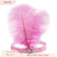 ราคา PHYTR HOT ที่คาดผมประดับเลื่อมคริสตัลขนนกอินเดียเครื่องประดับผมแฟชั่นแบบอินเดียสำหรับปาร์ตี้วันหยุด (22431429585)