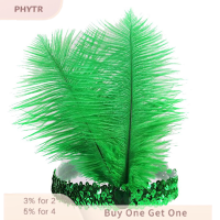 ราคา PHYTR HOT ที่คาดผมประดับเลื่อมคริสตัลขนนกอินเดียเครื่องประดับผมแฟชั่นแบบอินเดียสำหรับปาร์ตี้วันหยุด (22431429590)