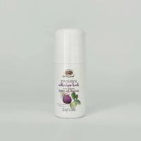 ราคา ลูกกลิ้งระงับกลิ่นกาย เปลือกมังคุด ใบฝรั่ง อภัยภูเบศร 50ml (22663028913)