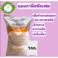 ราคา แม่ปุ๋ย ปุ๋ยเกล็ด ปุ๋ยไฮโดรโปนิกส์ ปุ๋ยระบบน้ำหยด เกรดละลายน้ำ 15 0 0 0 52 34 13 0 46 12 61 0 10 0 0 0 0 50 แบ่งขาย ดวงตะวันเพชร (21277808737)