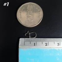 ราคา กิ๊บตกปลา 100 ตัว กิ๊บตกปลาสแตนเลสอย่างดี กิ๊บตกปลาแข็งๆ กิ๊บตกปลาชะโด R146 (22324435723)