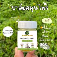 ราคา ครีมบาล์มแก้โรคผิวหนัง ขี้เรื้อน เชื้อราแมว เชื้อรา ยีสต์ คันเกา ขนร่วง สุนัขและแมว สมุนไพร หมอไทยทำเอง (22583163061)