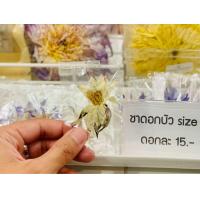 ราคา ชา ดอกบัวแห้ง size S แพ็ค 4 ดอก คละสายพันธุ์ได้ Dried Water lily mixed Nymphaea size S ใช้ชงชา ทำยา (22642613312)