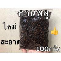 ราคา กานพลูแห้ง ดอกกานพลู ขนาด100กรัม เกรดA (15969610194)