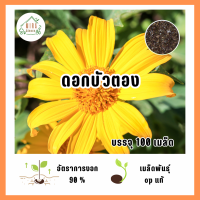 ราคา เมล็ดพันธุ์ ดอกบัวตอง 100 เมล็ด (21580754684)