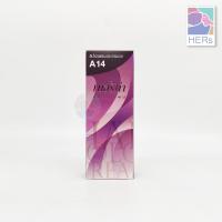 ราคา เบอร์ A1 A15 Berina Hair Color Cream ครีมย้อมผม เบอริน่า คัลเลอร์ 60 กรัม (9560124549)