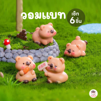 ราคา วอมแบท เซต 6 ชิ้น ตุ๊กตาจิ๋ว โมเดลจิ๋ว แต่งสวน ตุ๊กตาแต่งสวนจิ๋ว ตุ๊กตาจัดสวนถาด (22731635721)