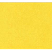 ราคา เข็มหมุด เข็มหมุดหัวมุก 100 300 400 500 ตัว Crown Fox เข็มหมุดปักผ้า เข็มหมุดดอกไม้ (21783517587)