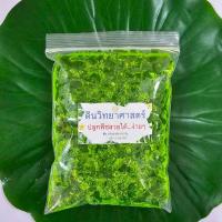 ราคา ดินวิทยาศาสตร์ ปลูกต้นไม้ไร้ดิน ถูกที่สุด19 บ ดินวิทยาศาสตร์250 ml ดินอุ้มน้ำปลูกต้นไม้ ง่ายดาย สะดวก สีสวยจัดเต็ม12สี (22446551316)