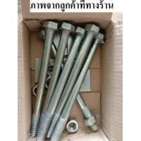 ราคา น๊อตใส่สาไฟ น๊อตร้อยแหล้ค ไฟฟ้า 5 นิ้ว 14 นิ้ว 5 8 5หุน น๊อตจับเหล็คพร้อมแหวนตัวเมีย มาตรฐานการไฟฟ้า น๊อตจับเสา จับแหล็ก (21597012935)