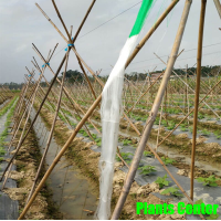 ราคา ค้างปลูกผัก ค้างผัก 2x100 เมตร ตาข่ายปลูกผัก โครงไม้เลื้อย ตาข่ายแตง ตาข่ายไม้เลื้อย อวนมะระ อวนแตง (22583800592)