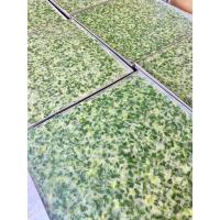 ราคา กุยช่าย กุยช่ายทอด กุยช่าย กุยช่ายแพ็คสูญญากาศ ขนาด 330 กรัม พร้อมน้ำจิ้มสูตรเด็ด แพคสูญญากาศมาอย่างดี ผักแน่นๆ (6718670257)