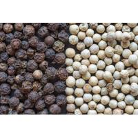 ราคา White Peppercorns Black Peppercorns 20g 50g เม็ดพริกไทยดำ เม็ดพริกไทยขาว พริกไทยดำเม็ด พริกไทยขาวเม็ด ใหม่ หอม คุณภาพดี พร้อมส่ง ส่งเร็ว (12695127056)