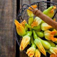 ราคา 10 เมล็ด ยอดฟักทอง ผักเก็บยอด มะฟักแก้ว ฟักแก้ว Cushaw Pumpkin Winter squash Seeds (21900184997)