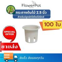 ราคา กระถางปลูกผักไฮโดร ถ้วยปลูกผักไฮโดรโปนิกส์ แบบใช้ซ้ำ 100 ถ้วย ไฮโดรโปนิกส์ กระถาง (22614308844)