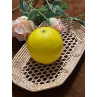 ราคา ส้มยูสุปลอม เกรดบี น้ำหนักเบา วัสดุผลิตจากโฟม สวยงาม (22068528606)