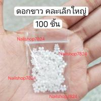 ราคา ดอกไม้ขาวติดเล็บ อะไหล่เล็บลายดอกไม้ ดอกไม้ติดเล็บ ดอกไม้ (22588226999)