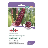 ราคา ข้าวโพดข้าวเหนียว มณีแดง SD F1 096 ผักซอง ศรแดง F1 เมล็ดพันธุ์ ข้าวโพด เมล็ดพันธุ์ผัก ผักสวนครัว ผักศรแดง (20115439676)