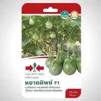 ราคา มะเขือเปราะ หยาดทิพย์ SD F1 048 ผักซอง ศรแดง F1 เมล็ดพันธุ์ มะเขือ เมล็ดพันธุ์ลูกผสม เมล็ดพันธุ์ผัก ผักสวนครัว ผักศรแดง (20115381149)