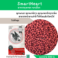 ราคา SmartHeart อาหารนกขุนทองเม็ดแดง นกเอี้ยง แบ่งขาย 200G 500G (21580558054)