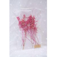 ราคา ดอกไม้แห้ง ดอกยิปโซ 25 บาทดอกยิปโซdiy พร้อมส่งจาก กทม เลยค่ะ (21723914226)