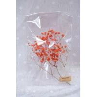 ราคา ดอกไม้แห้ง ดอกยิปโซ 25 บาทดอกยิปโซdiy พร้อมส่งจาก กทม เลยค่ะ (21723914231)
